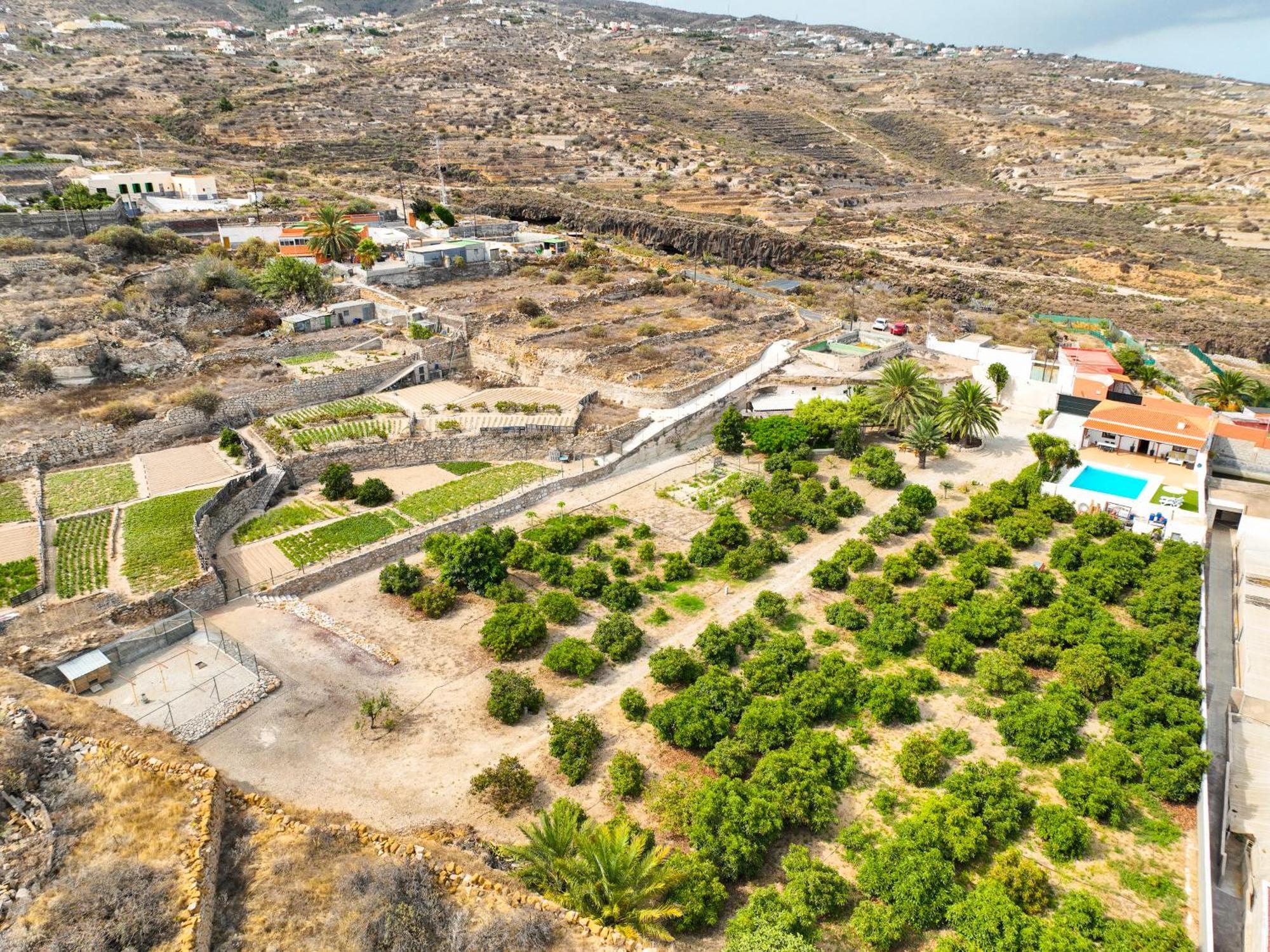 Private House With Pool & Garden Vila Güimar Exterior foto